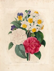 Bouquet di camelie, narcisi e viole del pensiero, inciso da Victor, da 